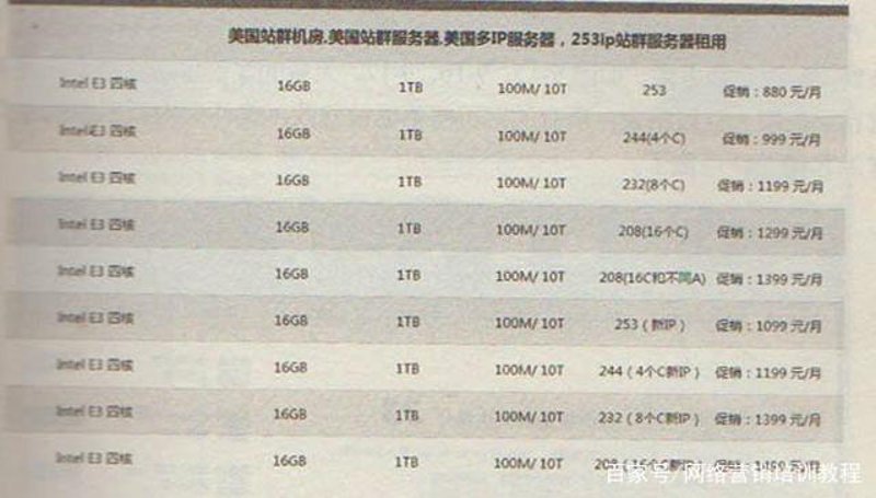 聚焦数字营销趋势：揭秘站群程序出售背后的秘密