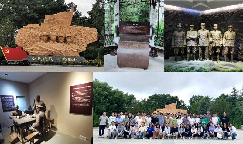 走进数字时代的魔法：AI站群程序的应用与变革