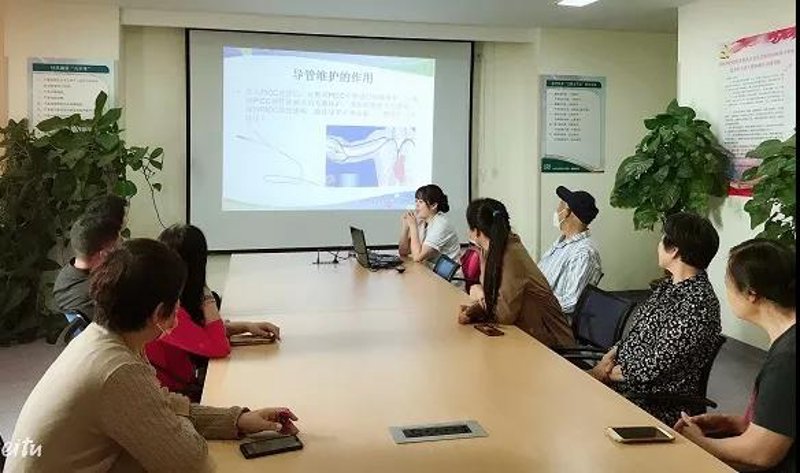 聚焦数字营销趋势：揭秘站群程序出售背后的秘密